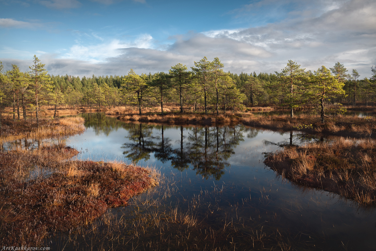 "Среди болот и озер"