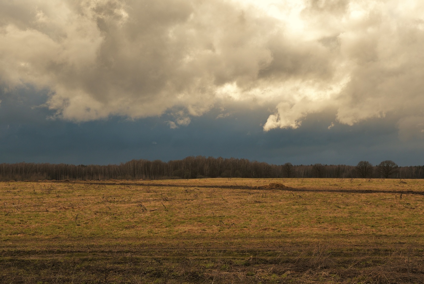 Апрель - снег уже сошел с полей ...