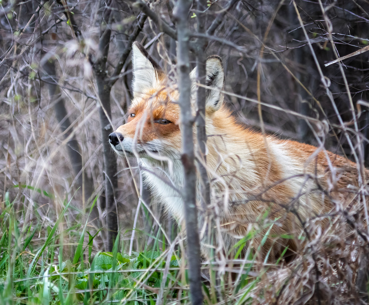 - А ты точно ФОТОохотник?