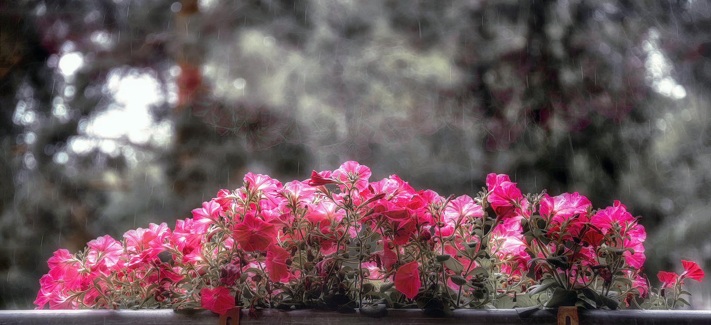 Балкон. Дождь.