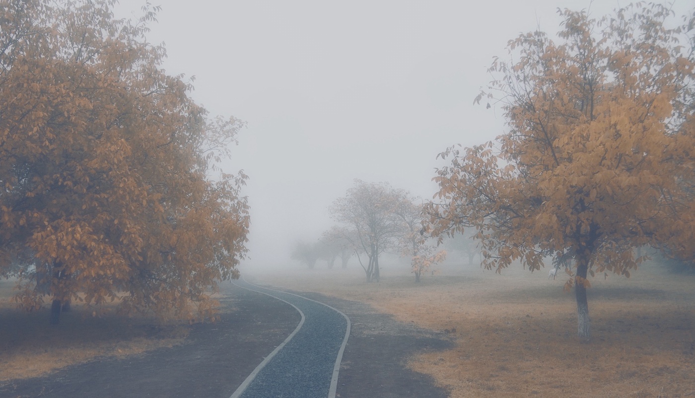 Осенним утром