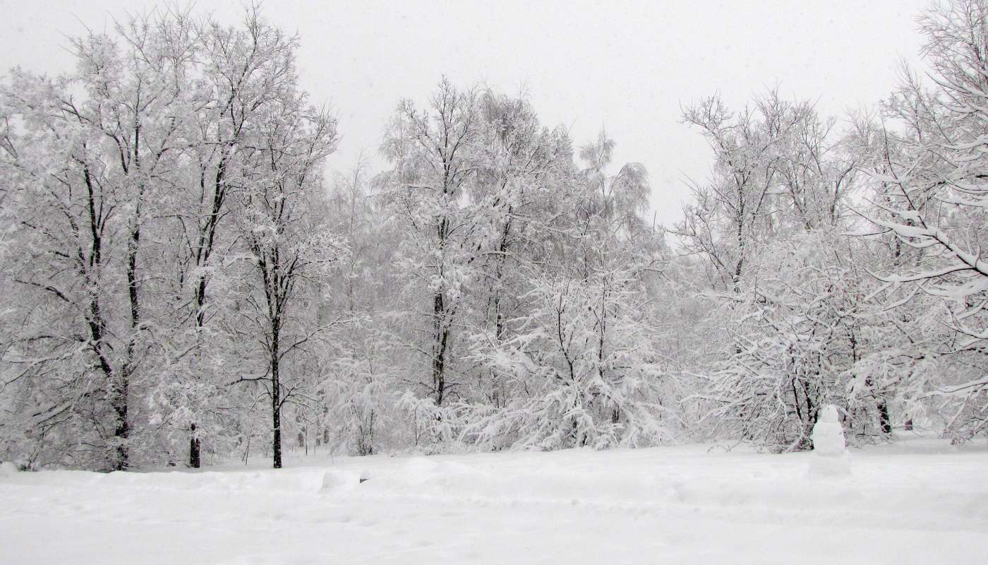 Зимой в парке.