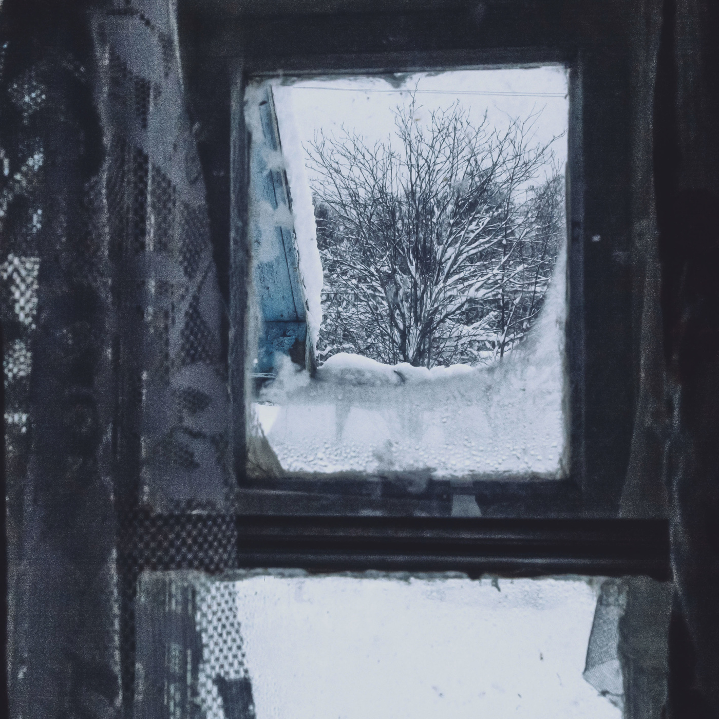 Жизнь вокруг