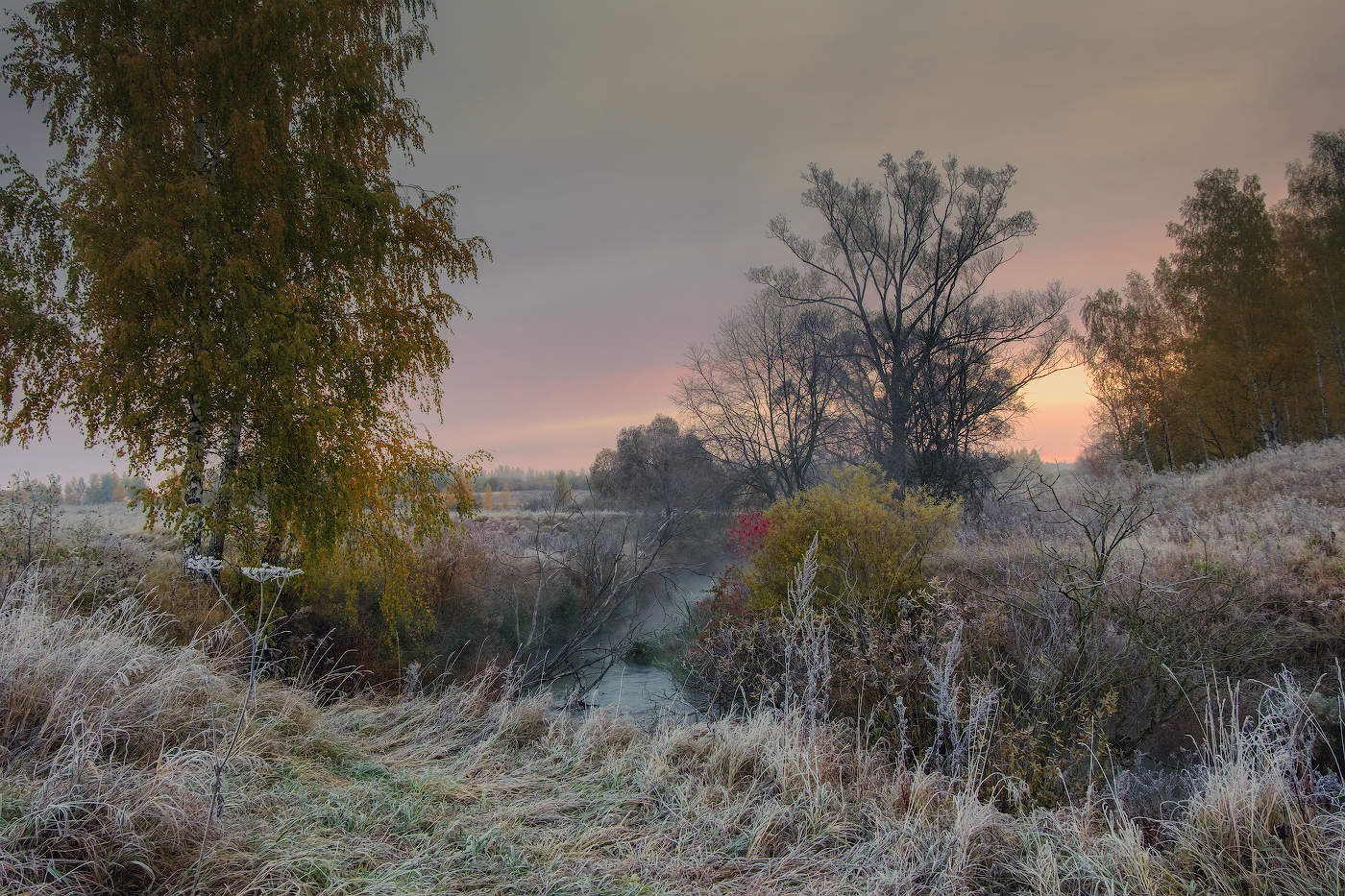 Первые заморозки