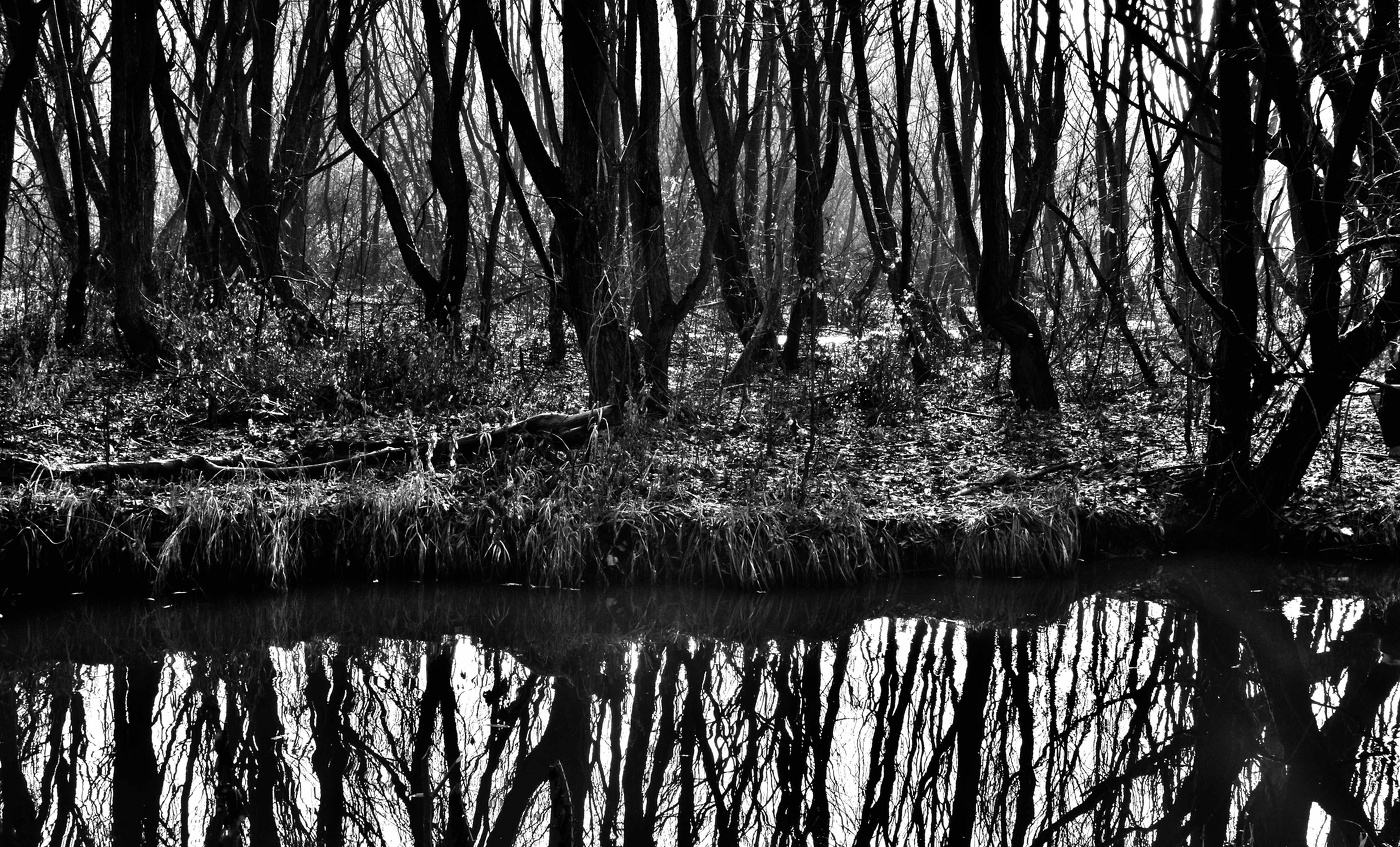 другой берег