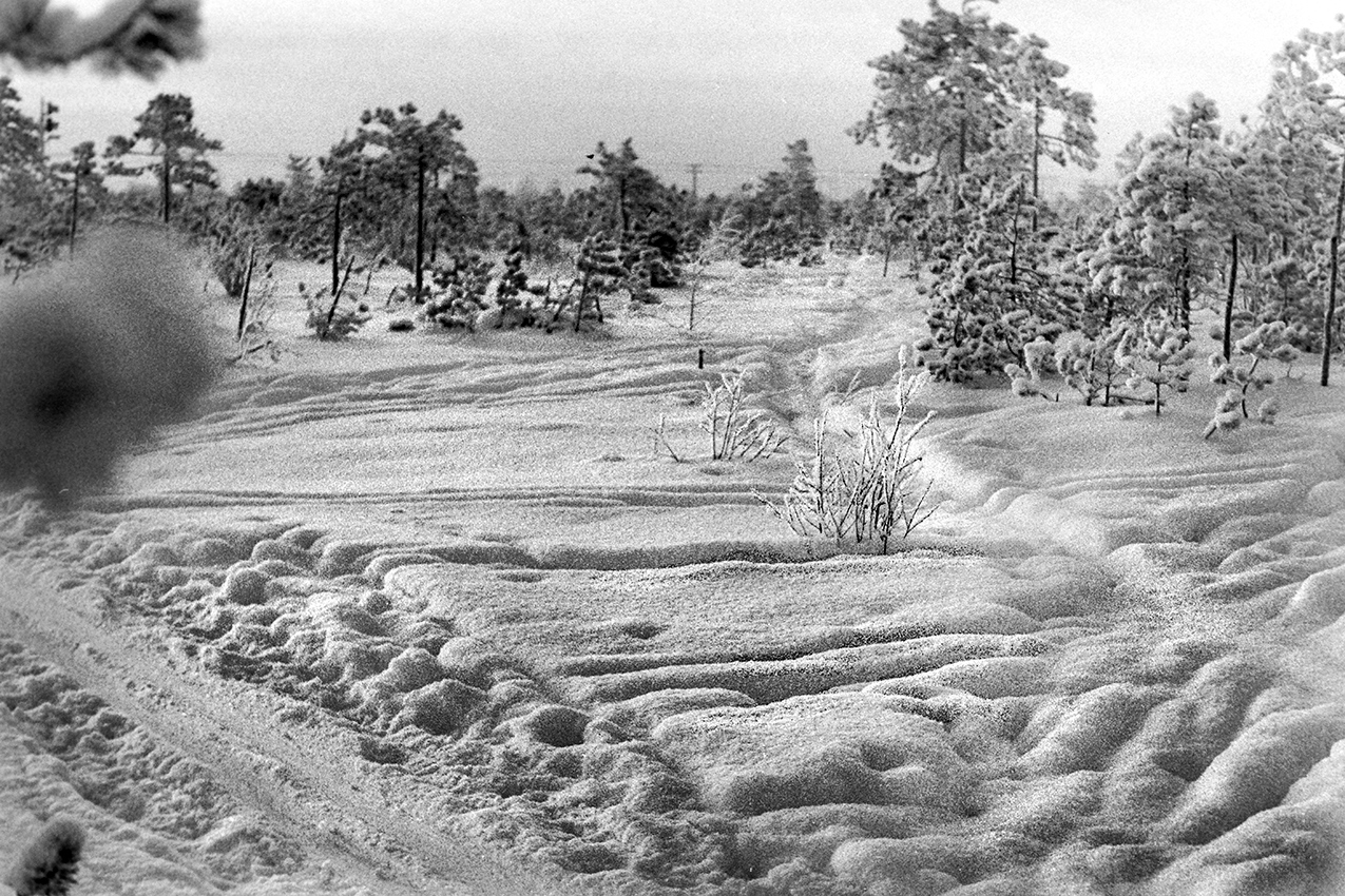 Снежное покрывало