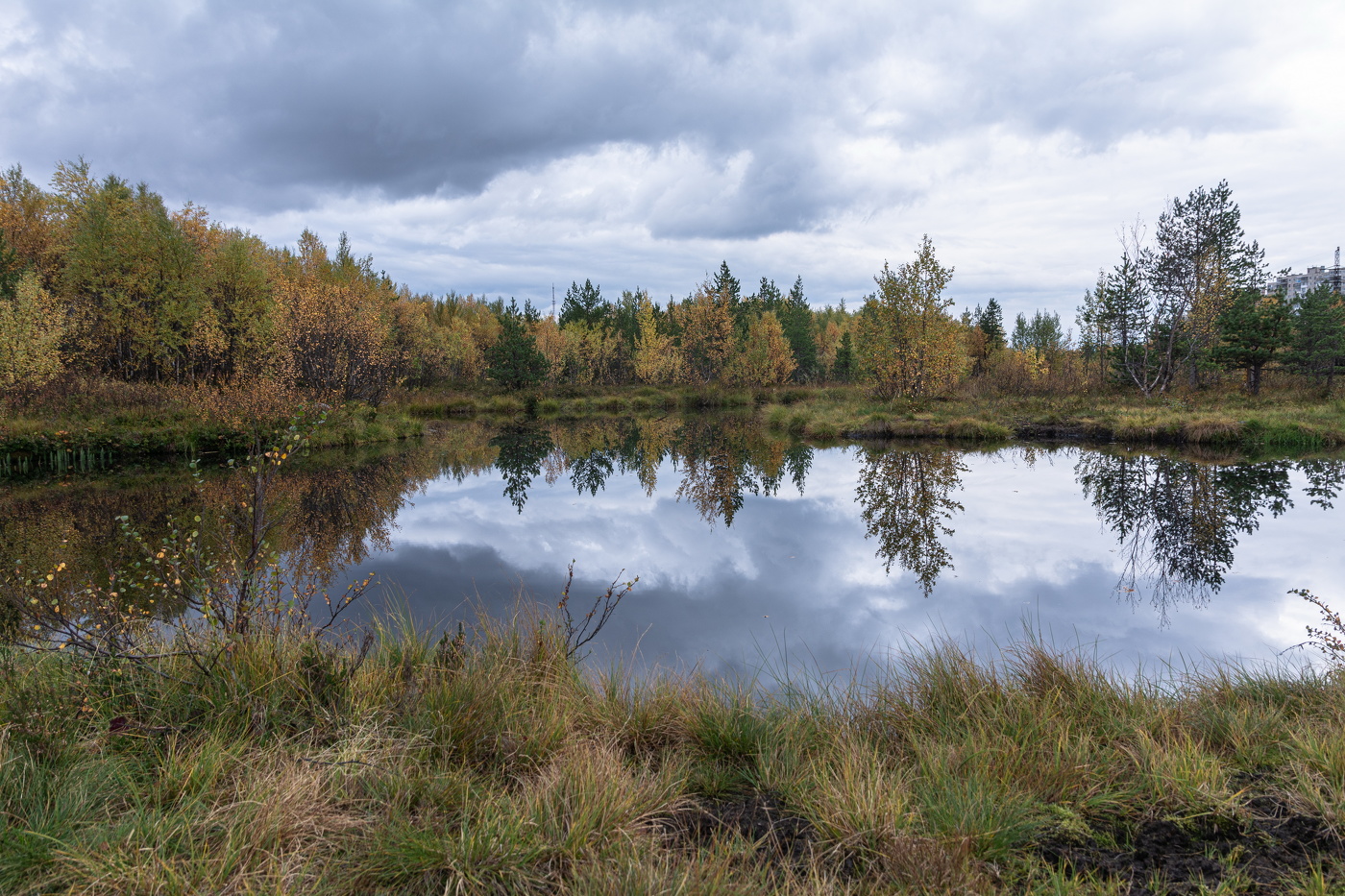 осеннее отражение