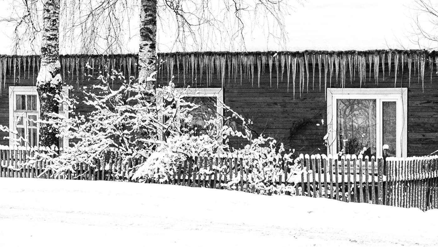 Жизнь вокруг