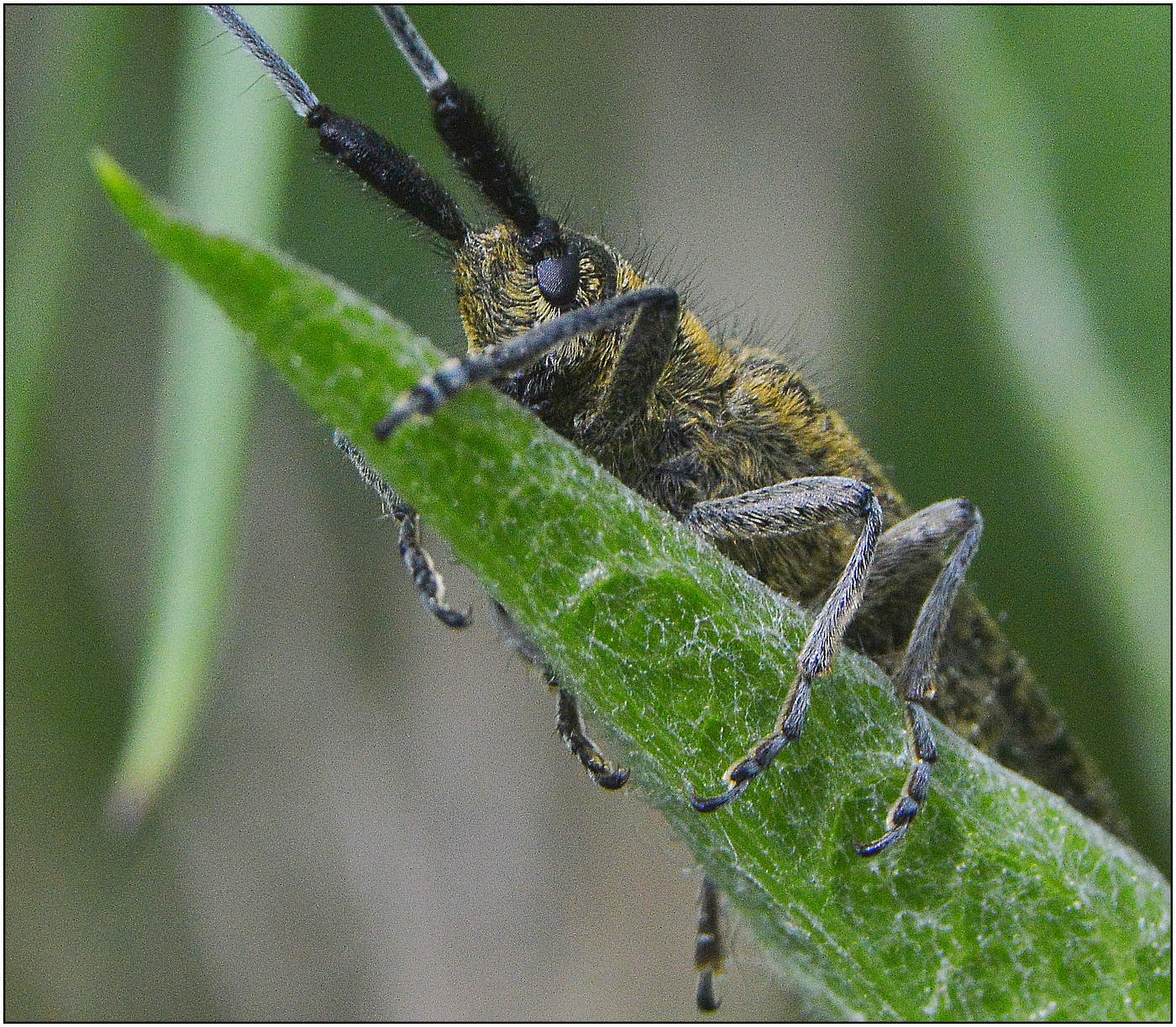 Со своей колокольни.