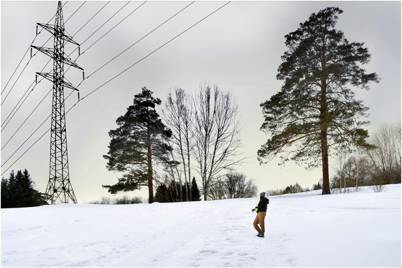 Белое безмолвие