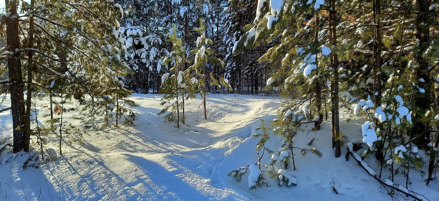 солнечная полянка