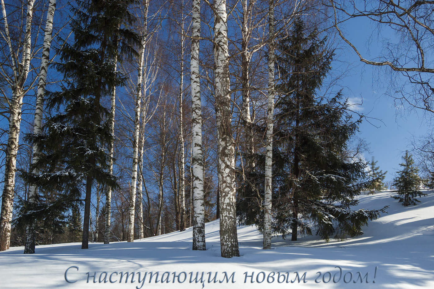 С наступающим новым годом, друзья!