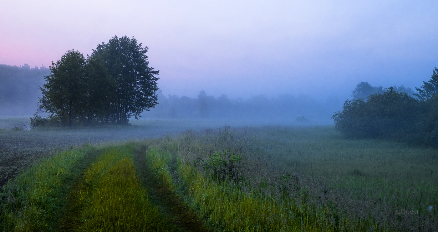 Рассвет в поле.