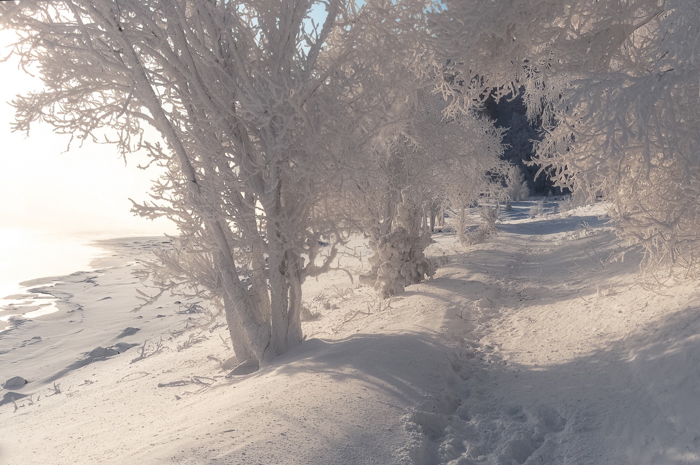 Новогодняя сказка