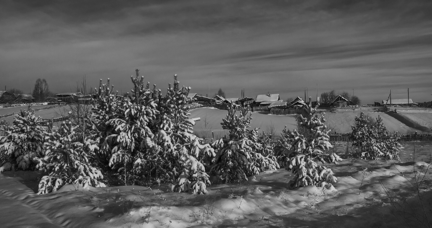 Вот моя деревня - в прошедшем году