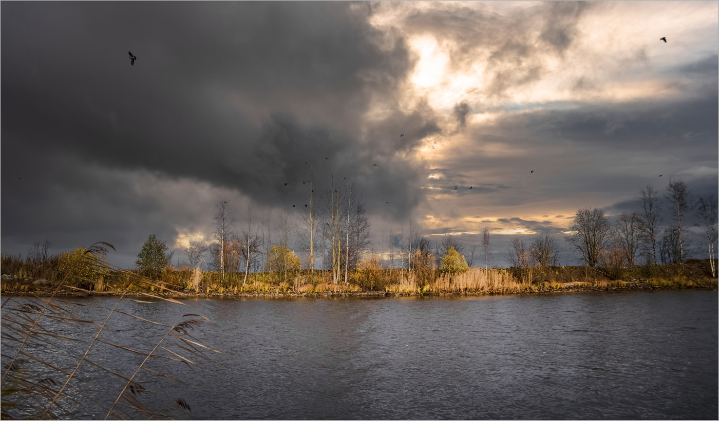 Питерская осень
