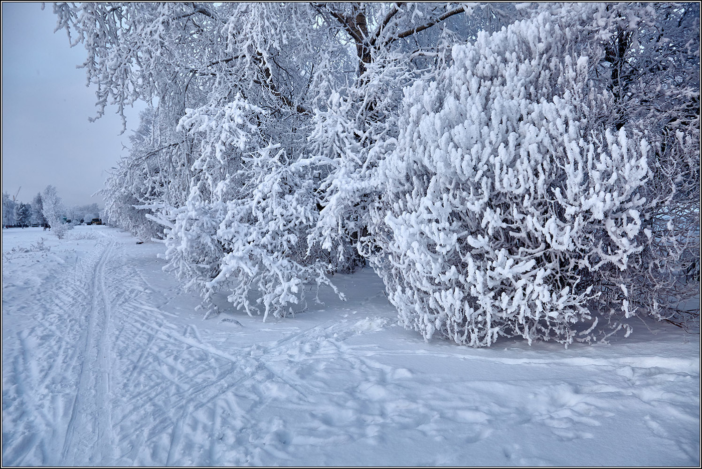 С Новым Годом!