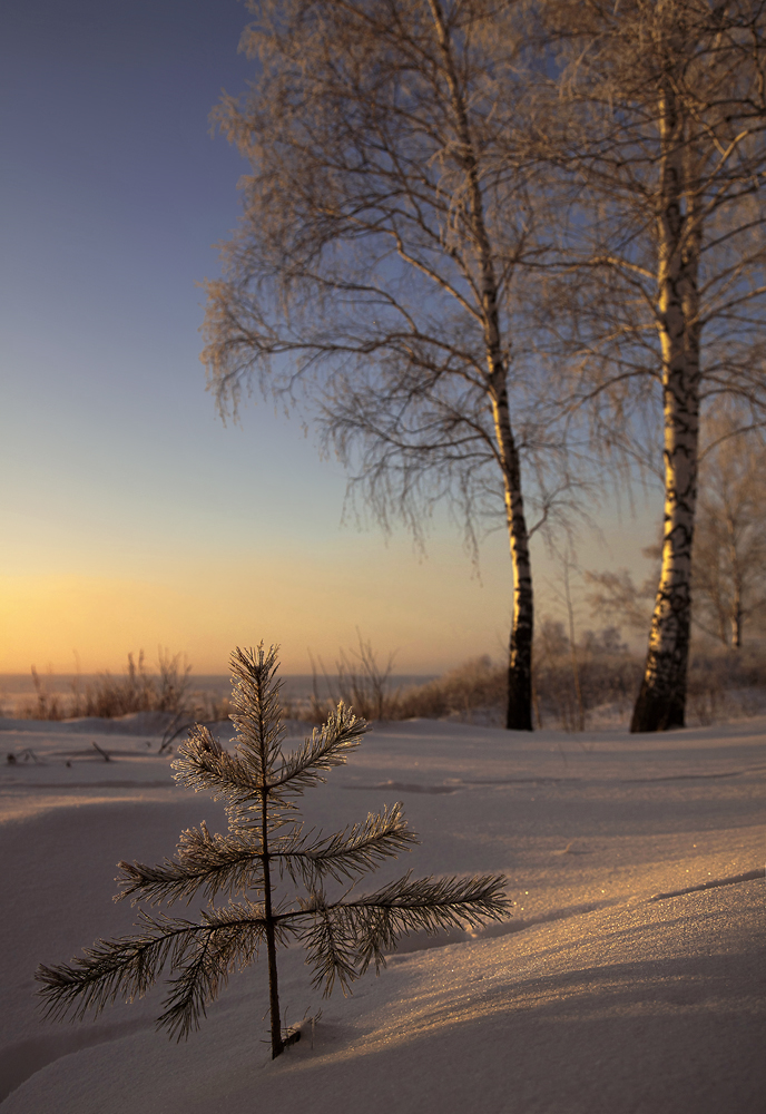 С Новым Годом!!!