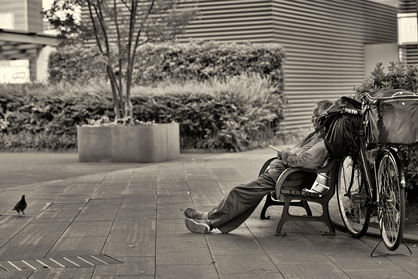 С наступающим новым годом.