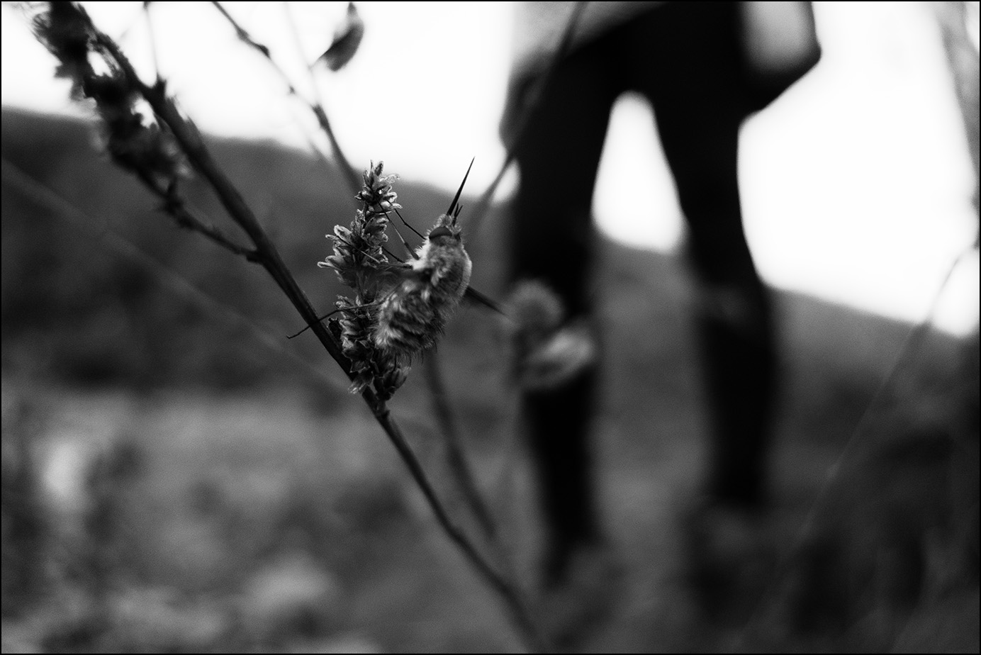 с наступающим НГ!