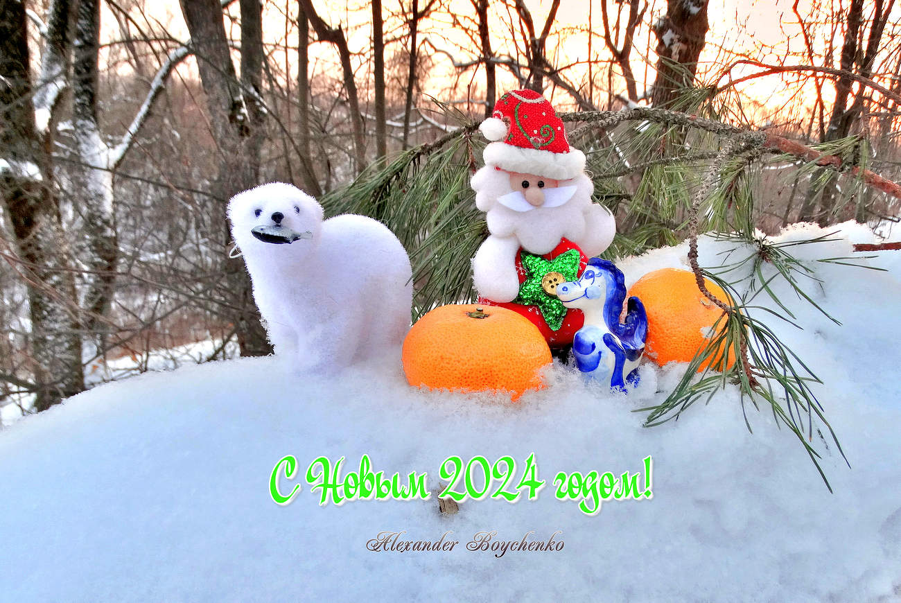 Новый год шагает по планете