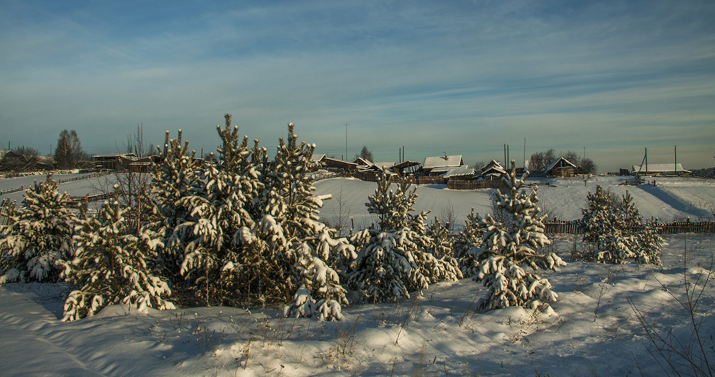 Вот моя деревня - в новом году