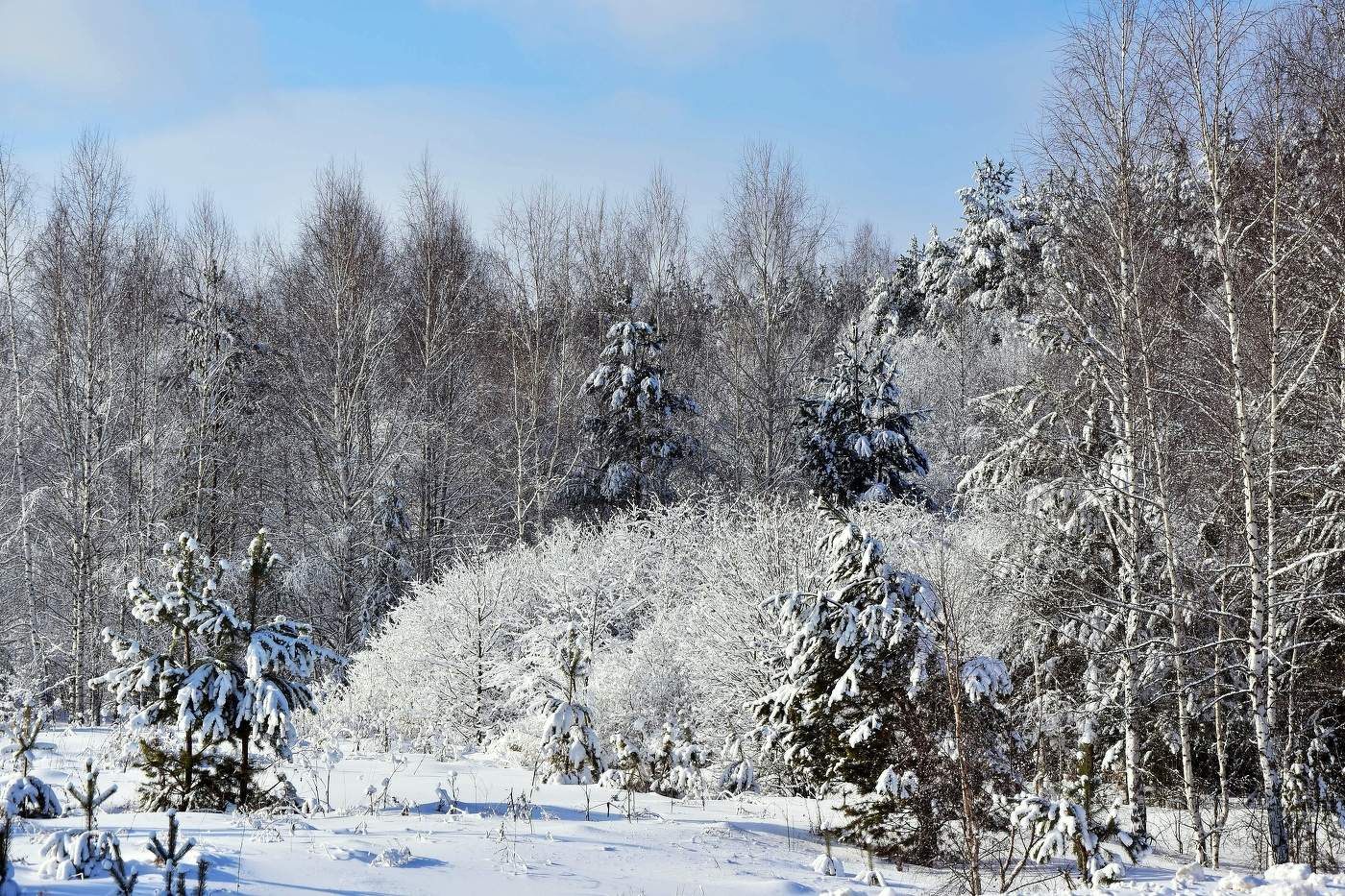 С Новым Годом!