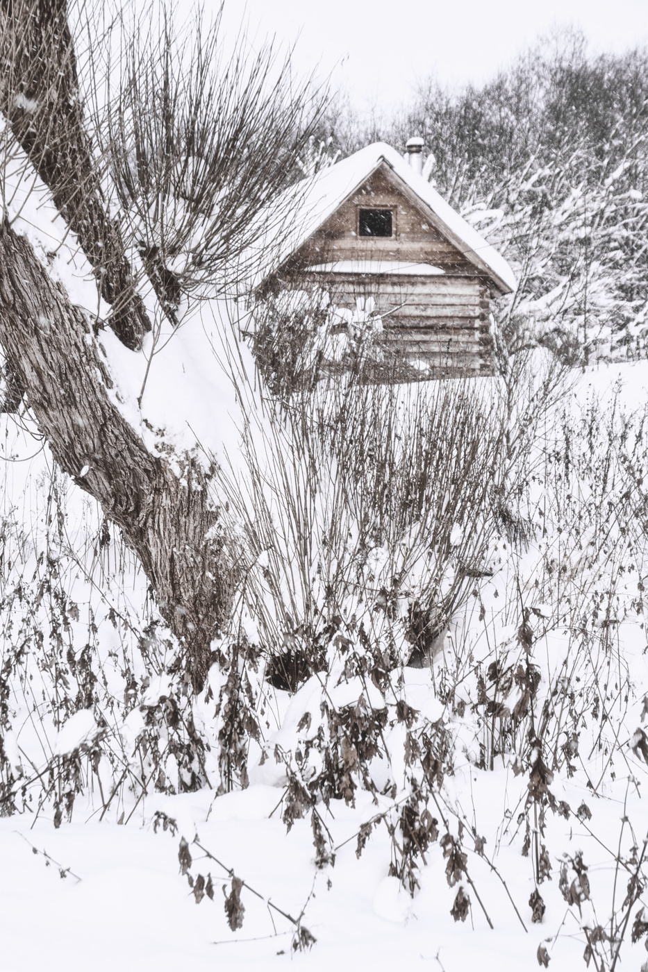 Жизнь вокруг