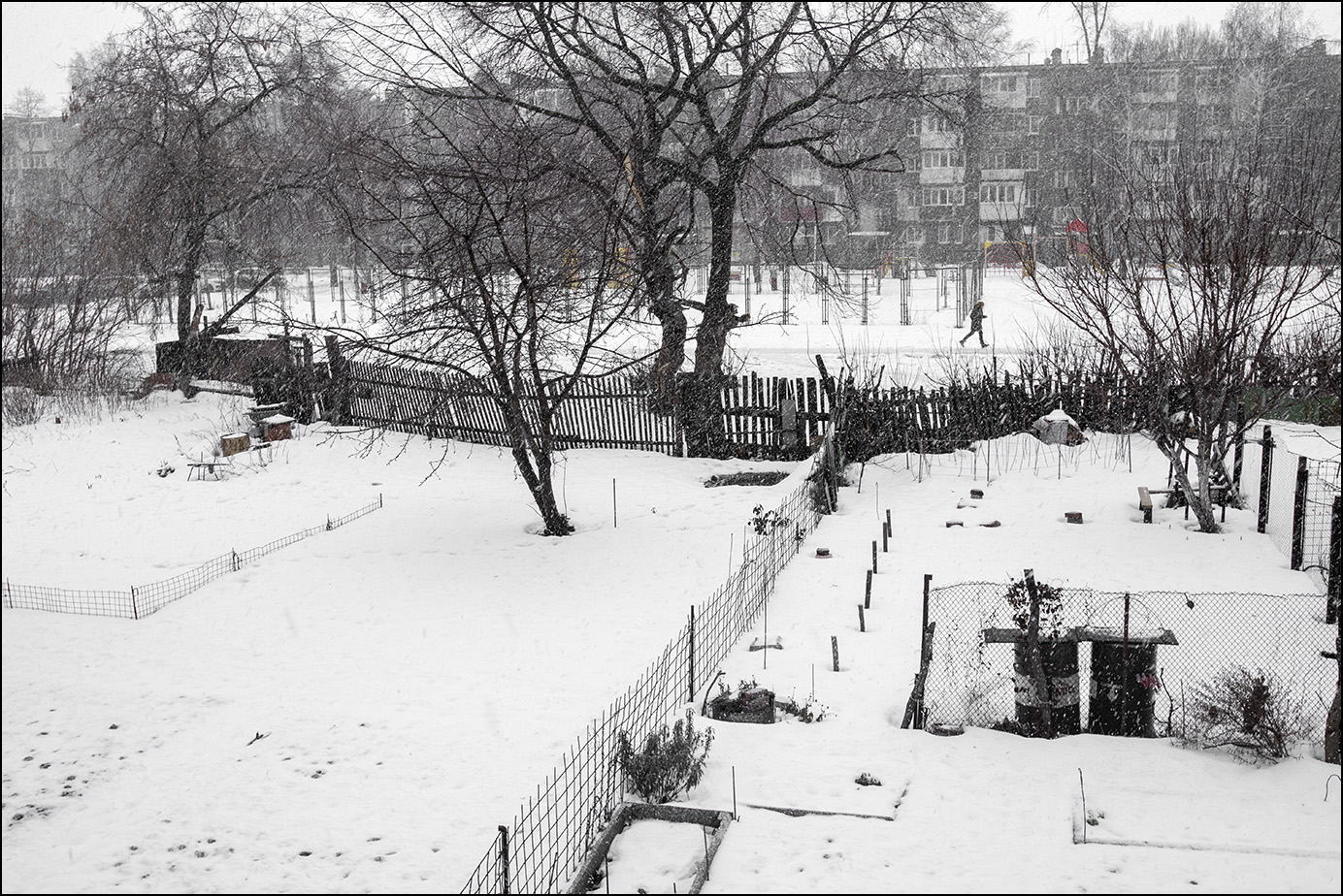 прошлогоднее фото