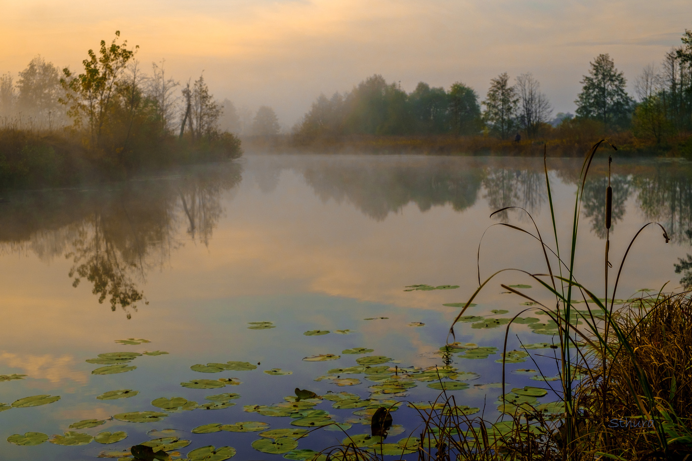 Утро в октябре.