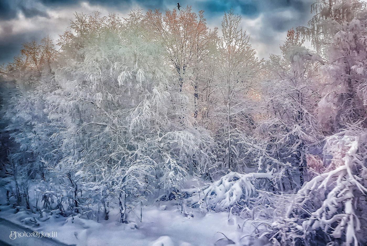 С НОВЫМ ГОДОМ! ( конкурс 35awards TOP 14%)