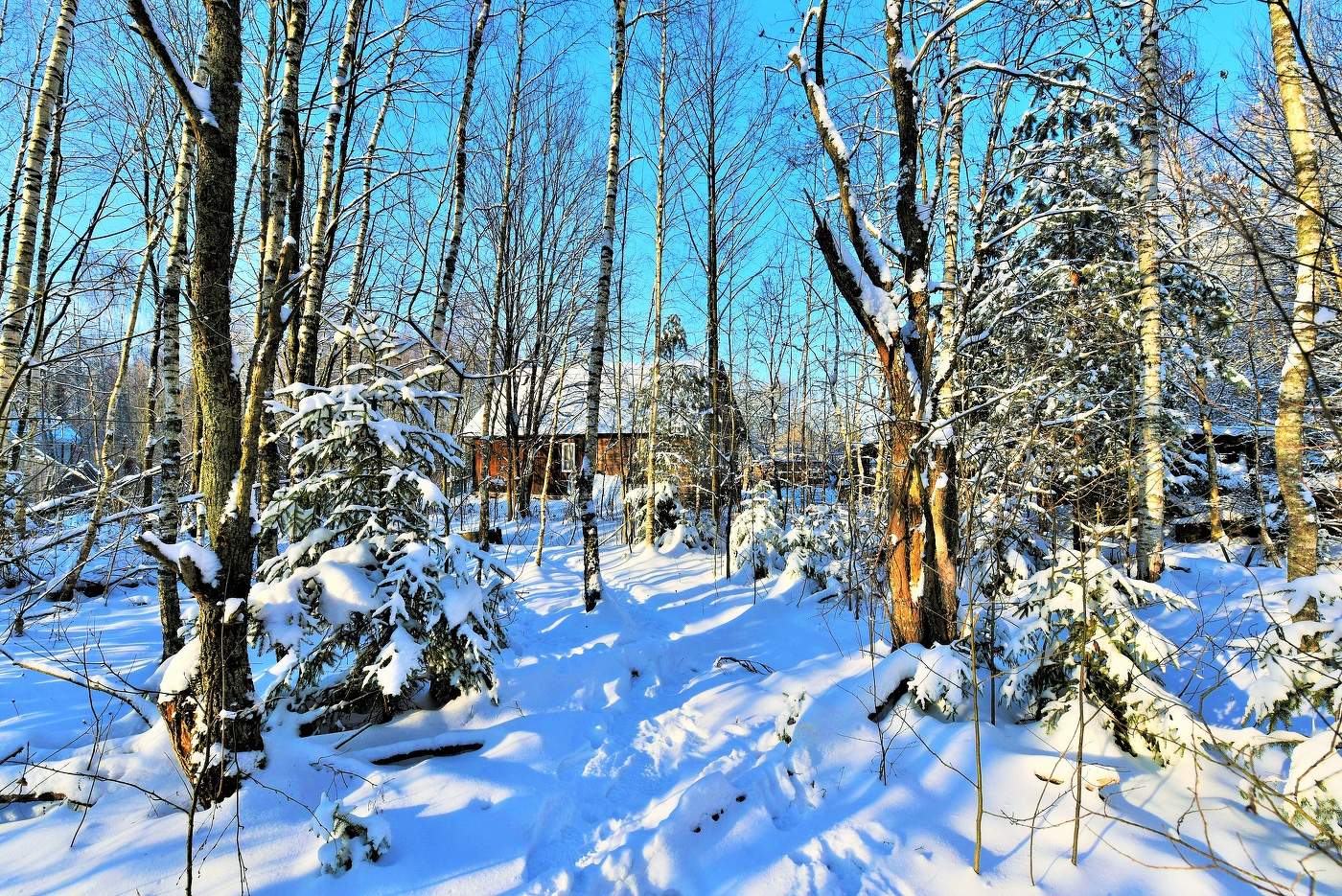 "Зима. Пахнул в лицо мне воздух чистый ..."