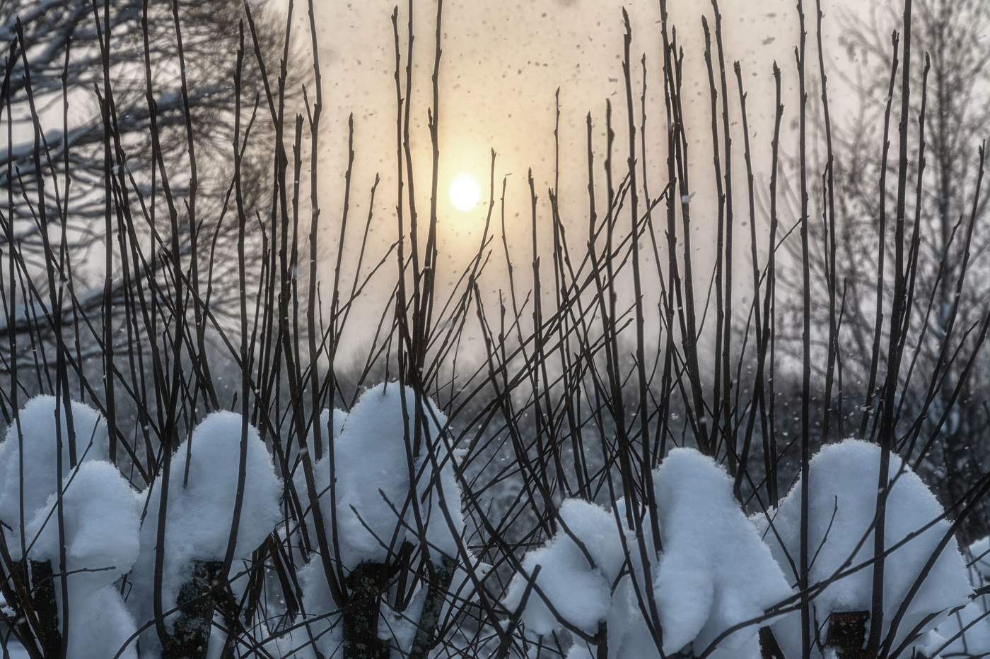 Жизнь вокруг