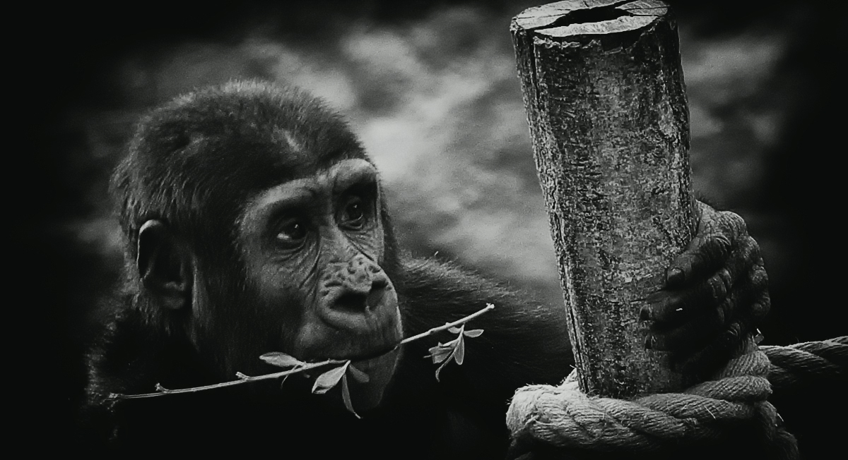 ... всё сначала