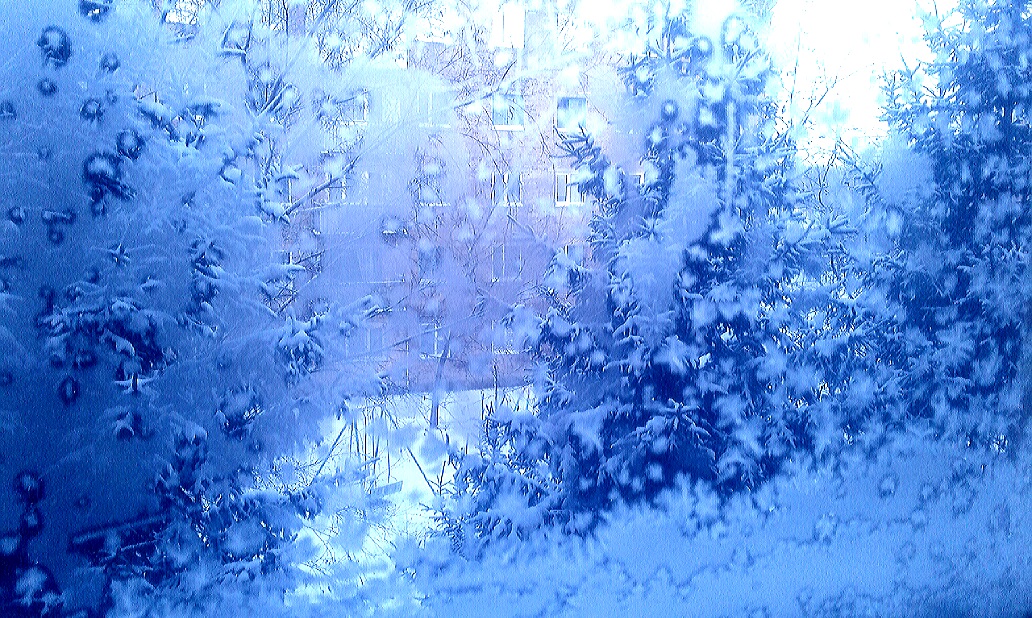 вид из окна