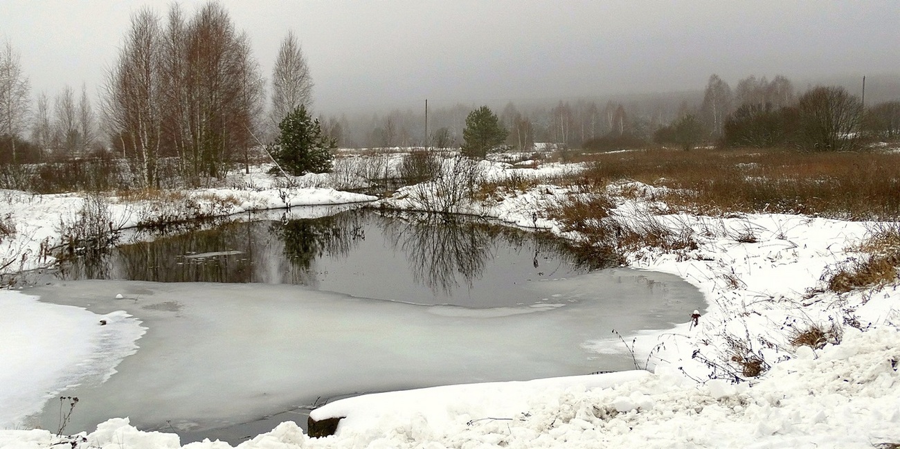 Зимняя панорама в Полесье