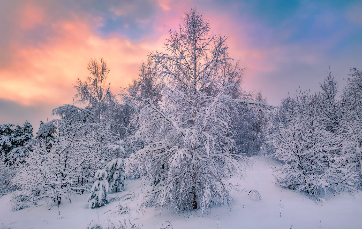 Вечер зимний догорает.