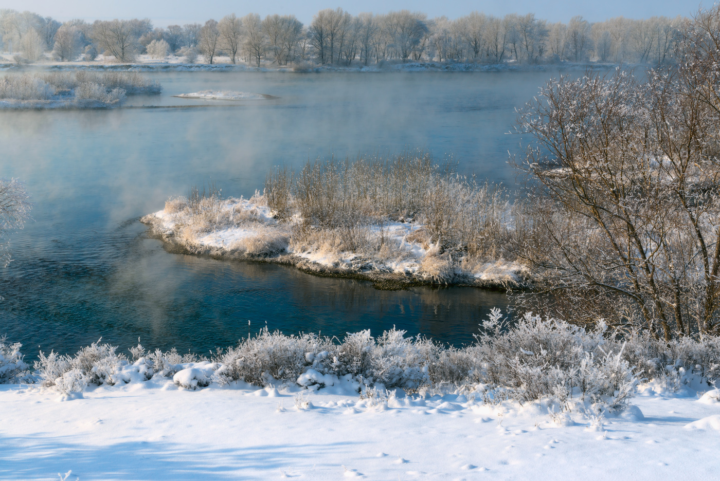 В морозный полдень