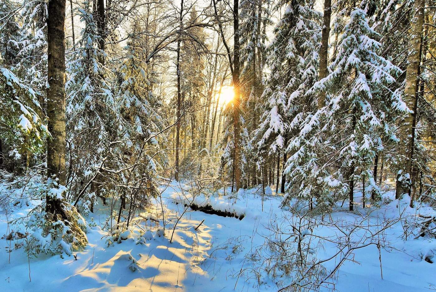 "Мороз-воевода дозором обходит владенья свои ..."