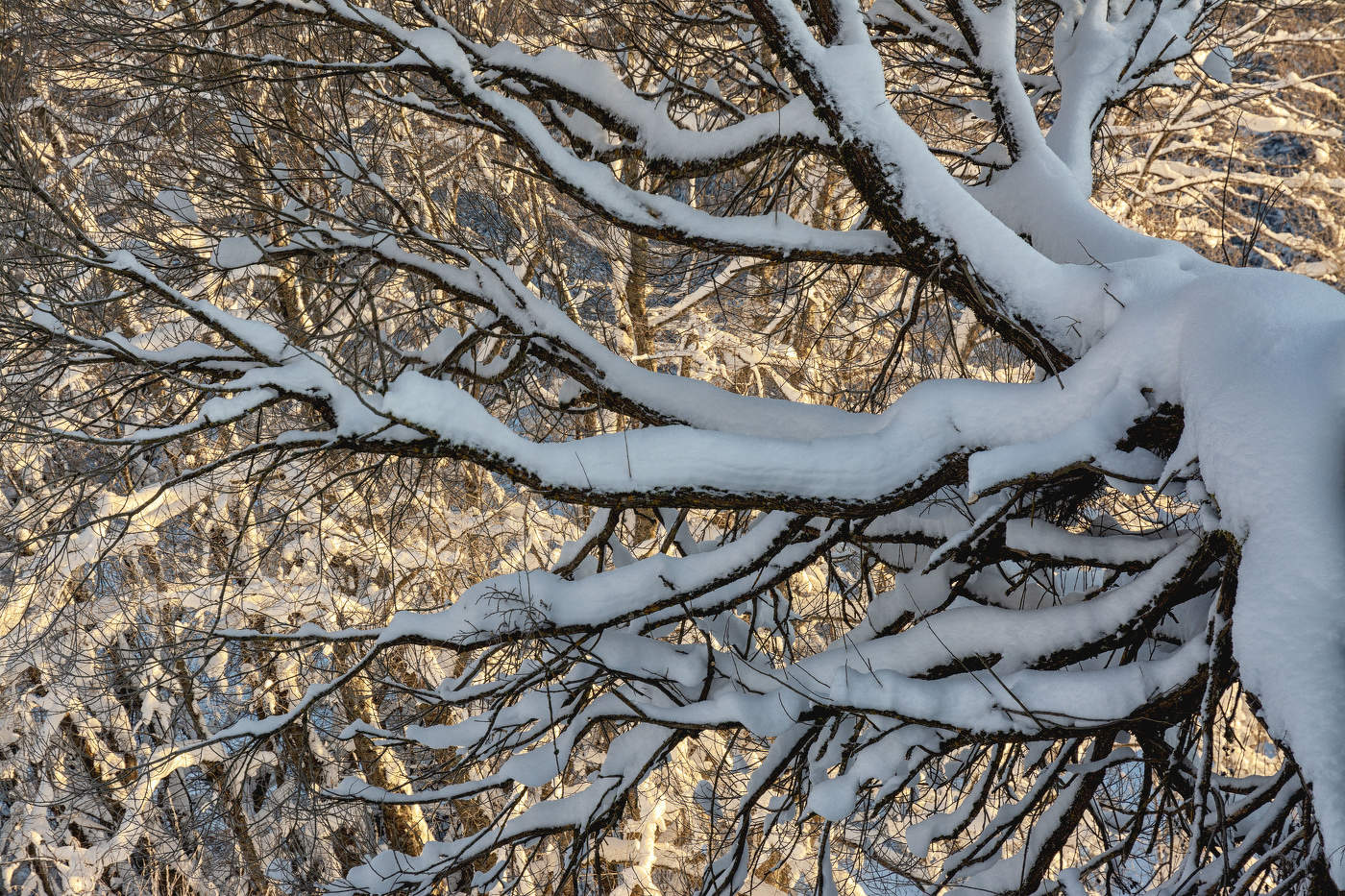 Жизнь вокруг