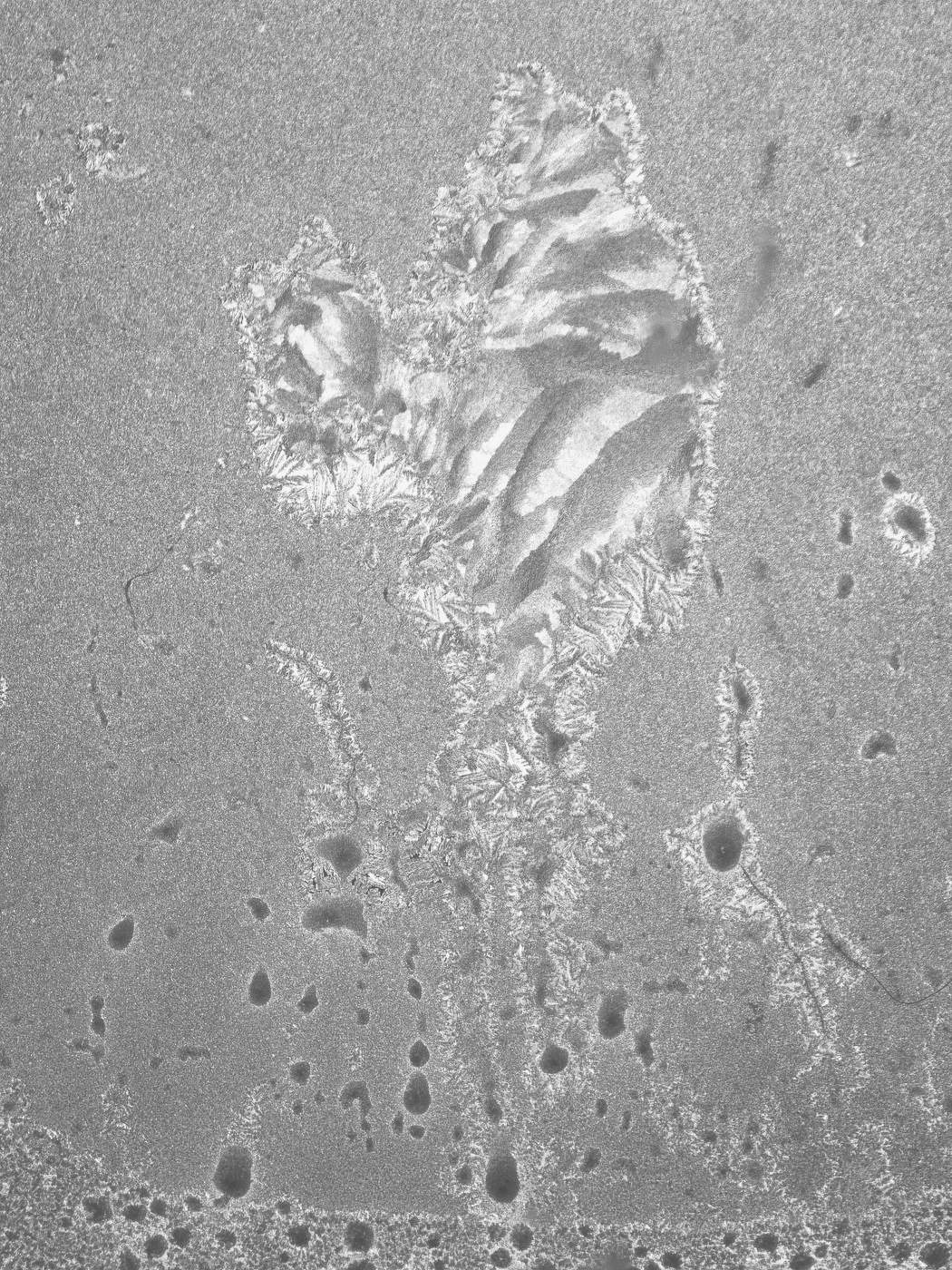 Жизнь вокруг