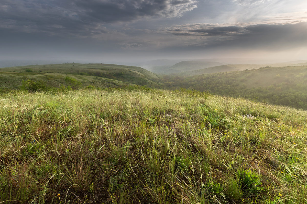 Степные картинки
