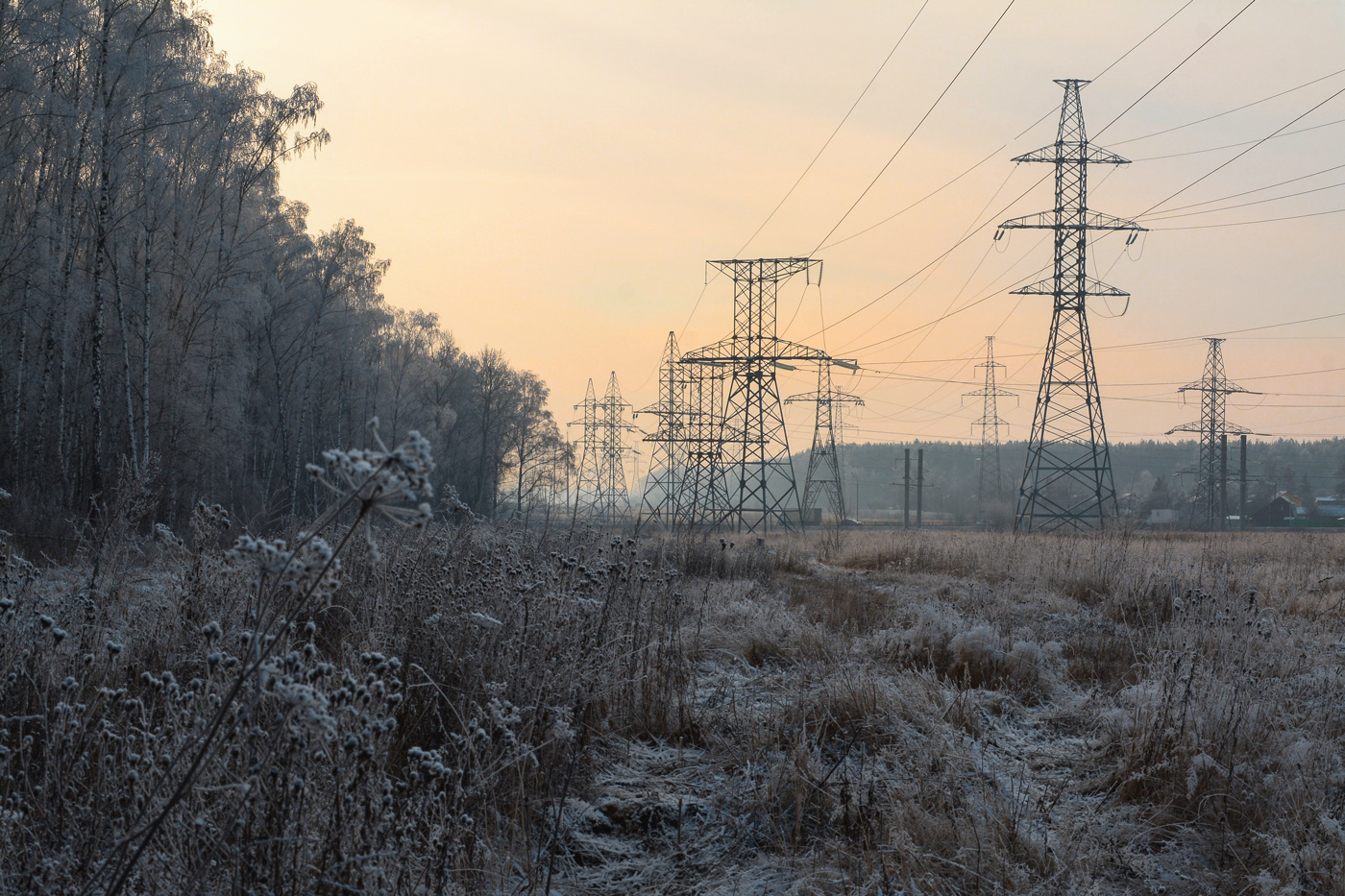утренние заморозки