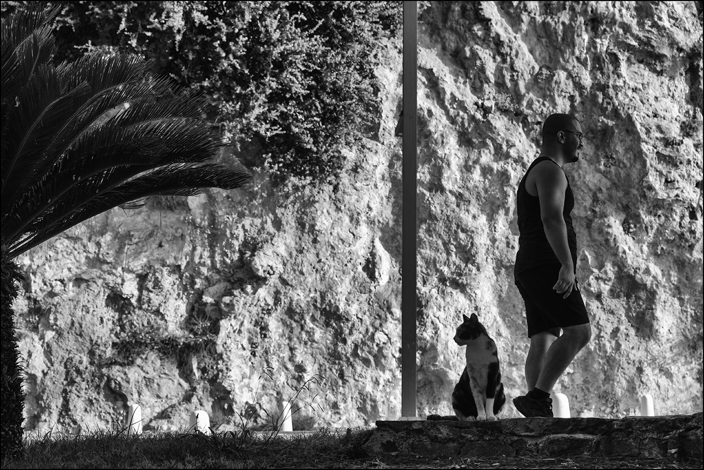 пейзаж с пешеходом и столбиками