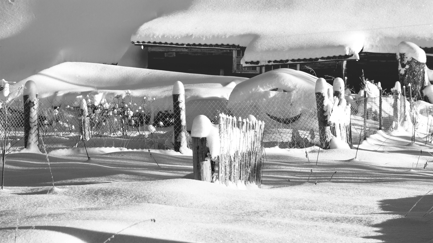 Жизнь вокруг