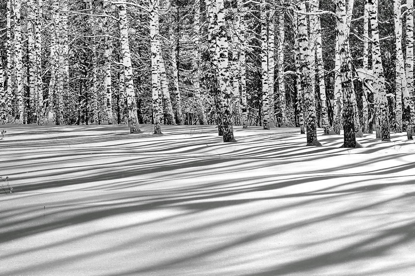 **Солнечным днём.*