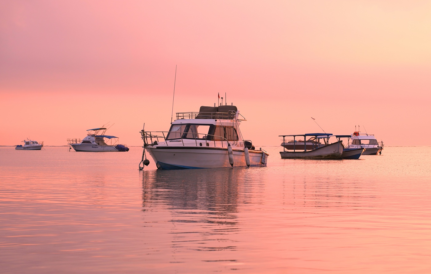 Розовое утро