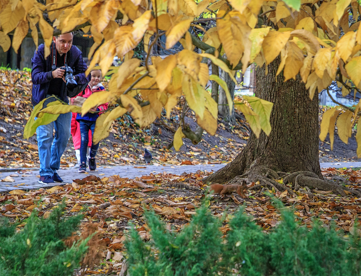 Позировать белка совсем не хотела...