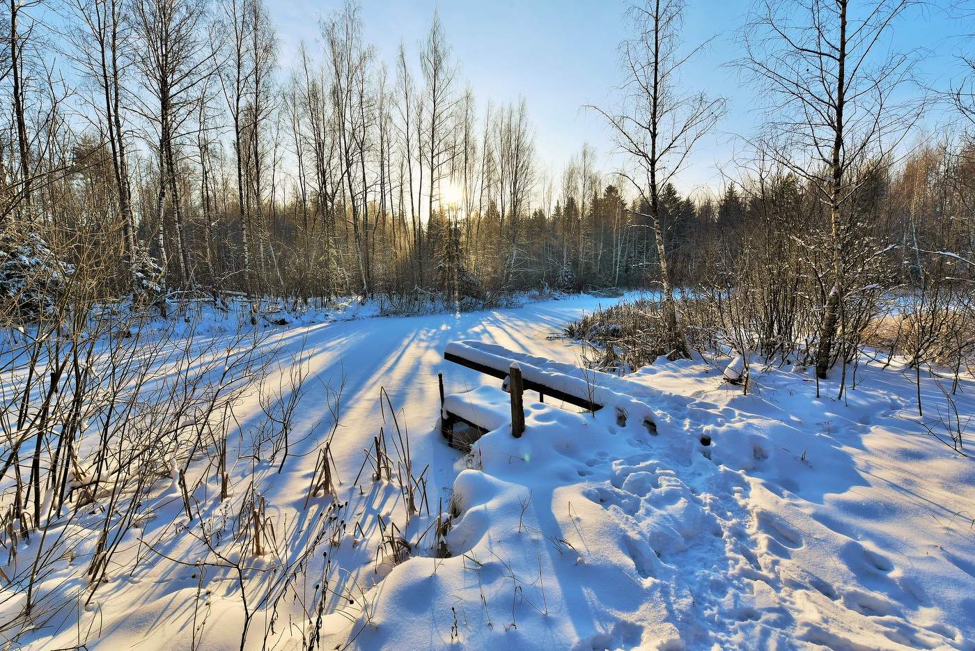 "На заснеженном пруду я отмечу Новый год в девственной тиши..."