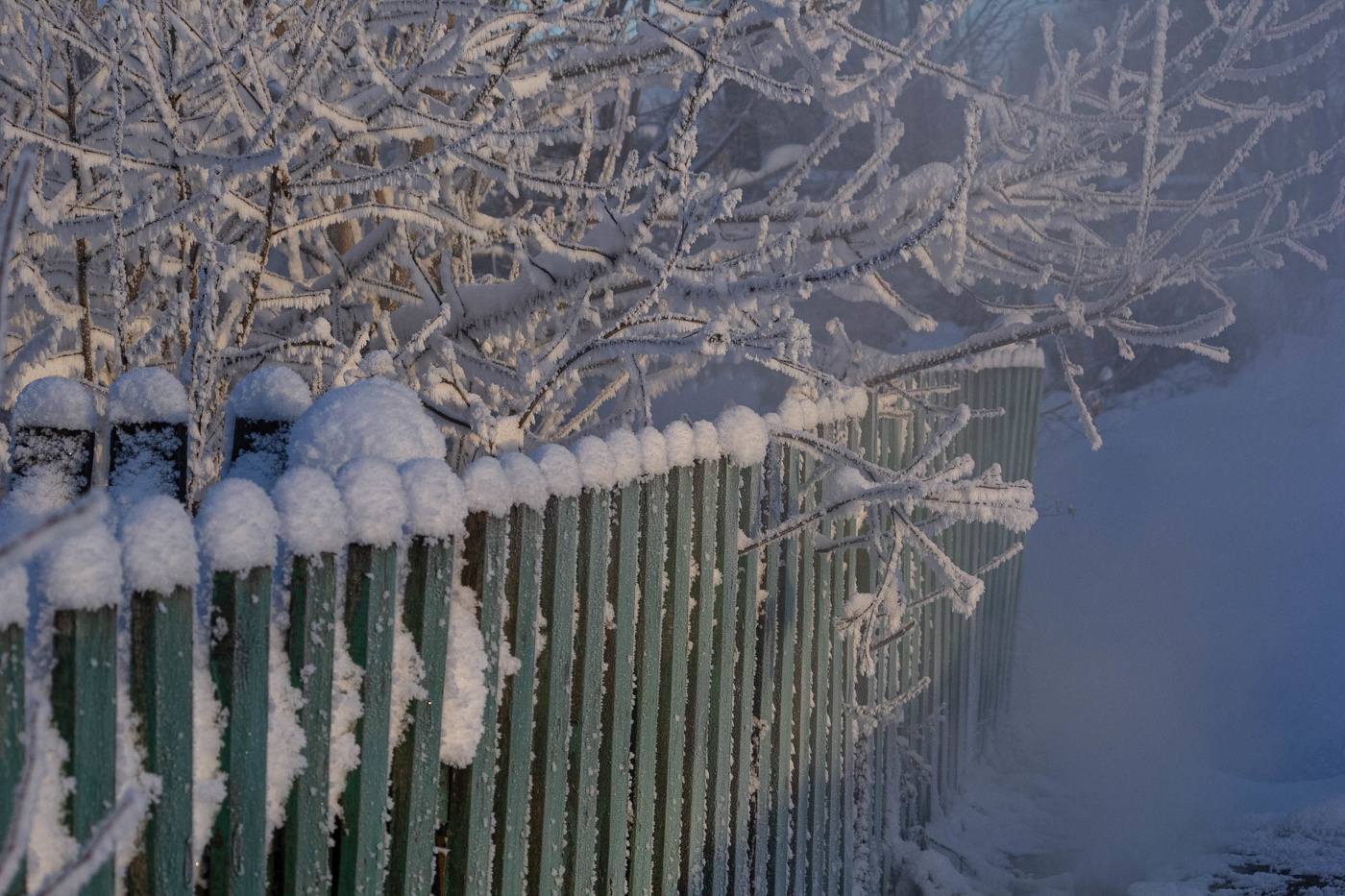 Январская стужа